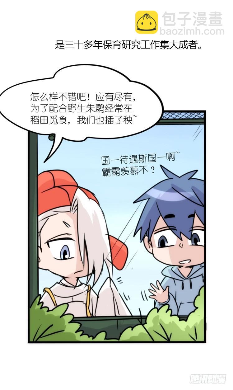 使命篇19：重振绯羽①-第143话