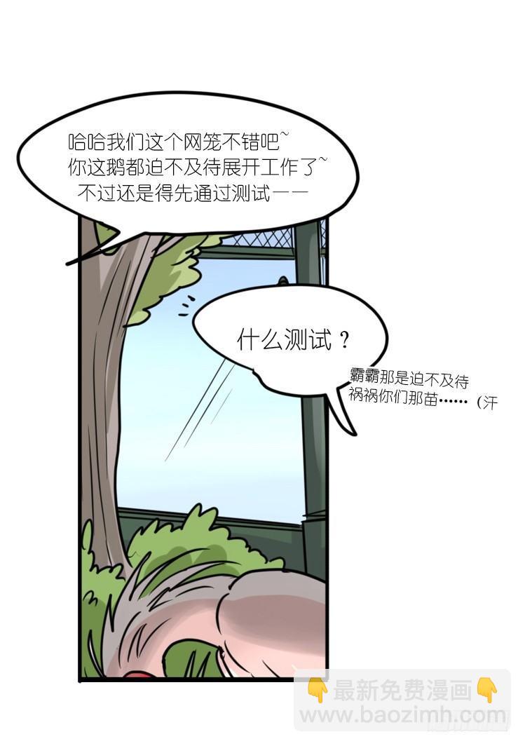 使命篇19：重振绯羽①-第143话