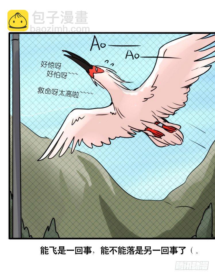 使命篇21：重振绯羽③-第145话