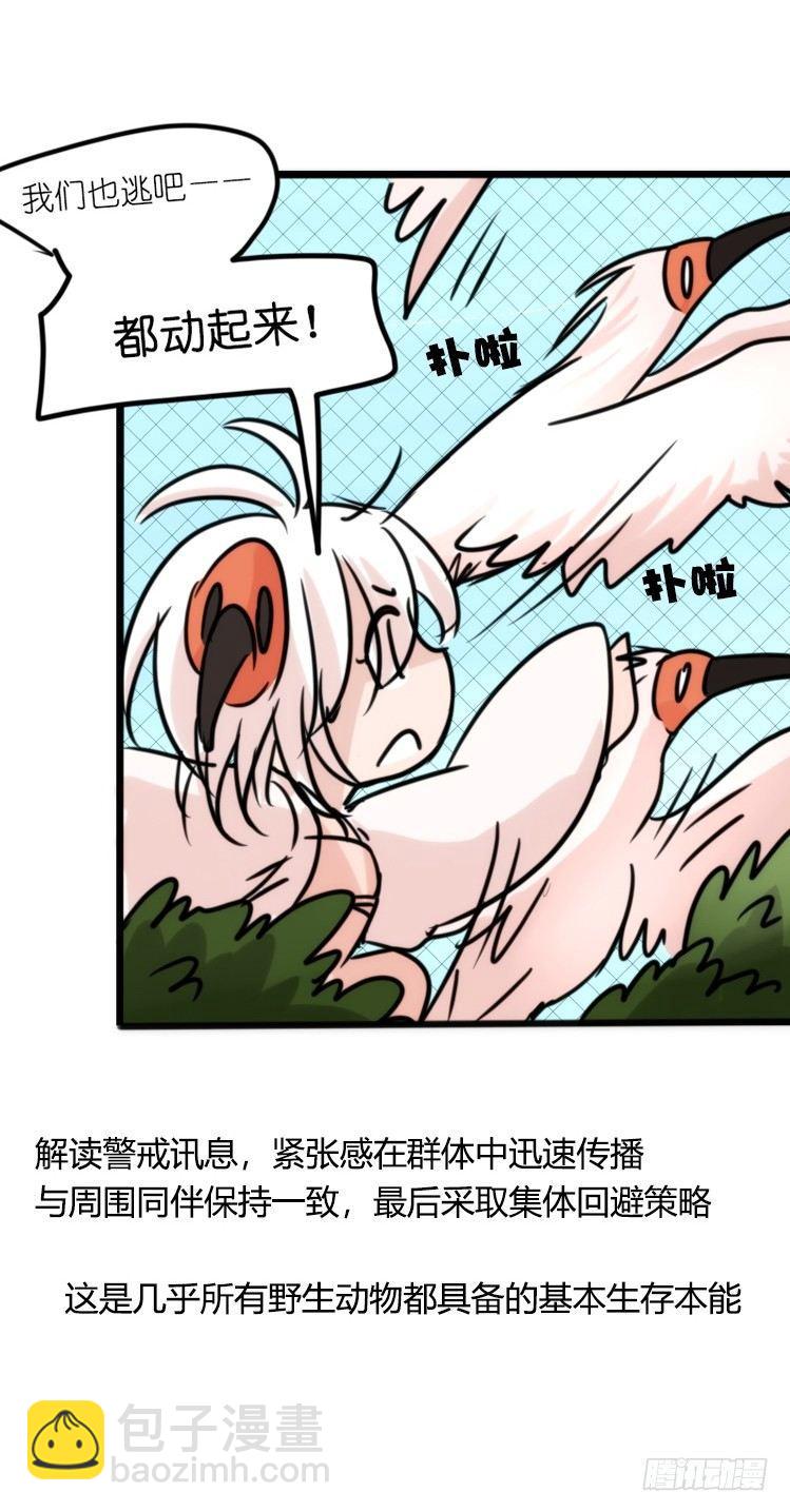 使命篇21：重振绯羽③-第145话