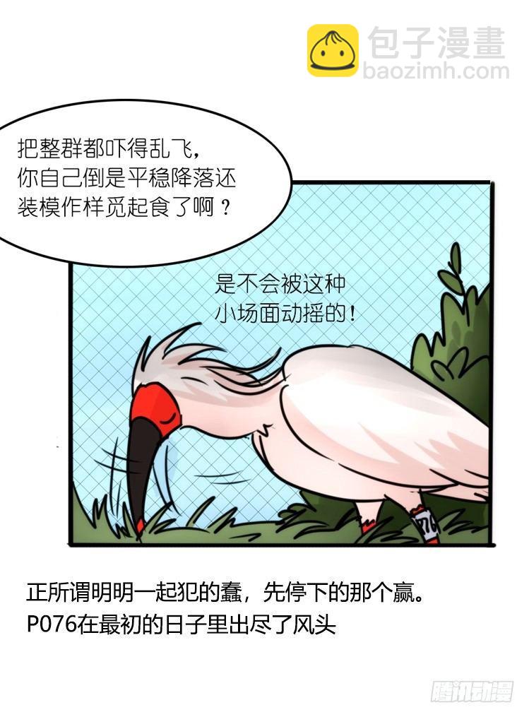 使命篇21：重振绯羽③-第145话