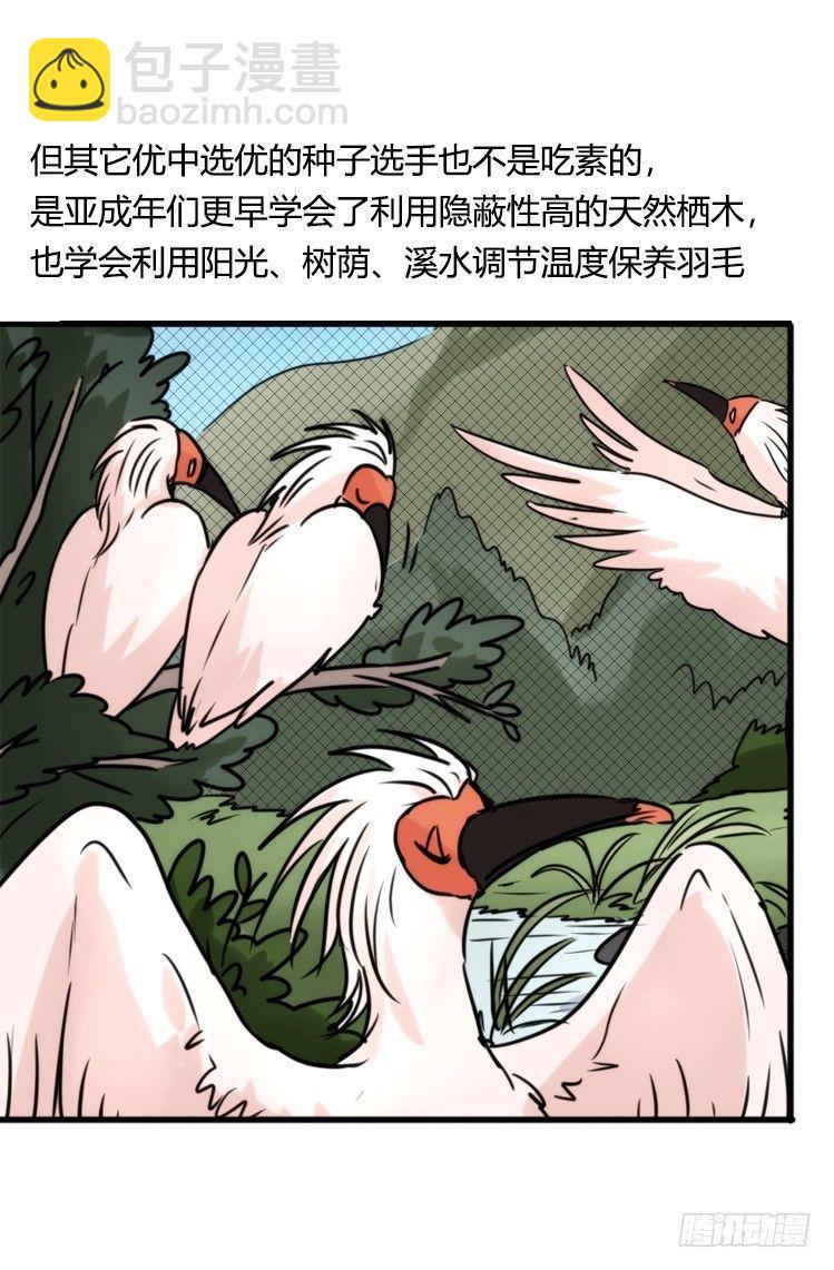 使命篇21：重振绯羽③-第145话