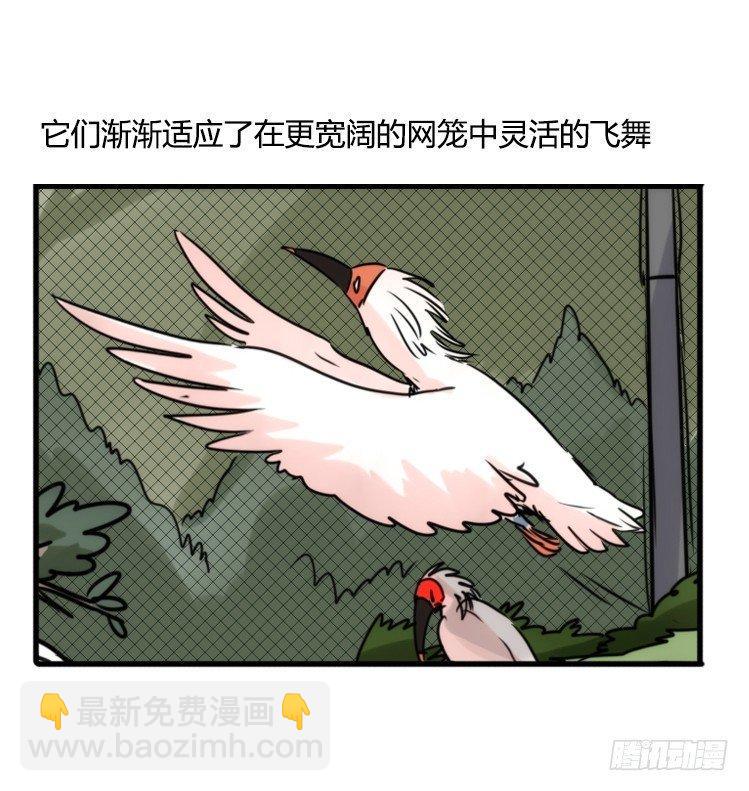 使命篇21：重振绯羽③-第145话
