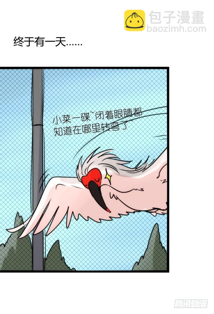 使命篇21：重振绯羽③-第145话