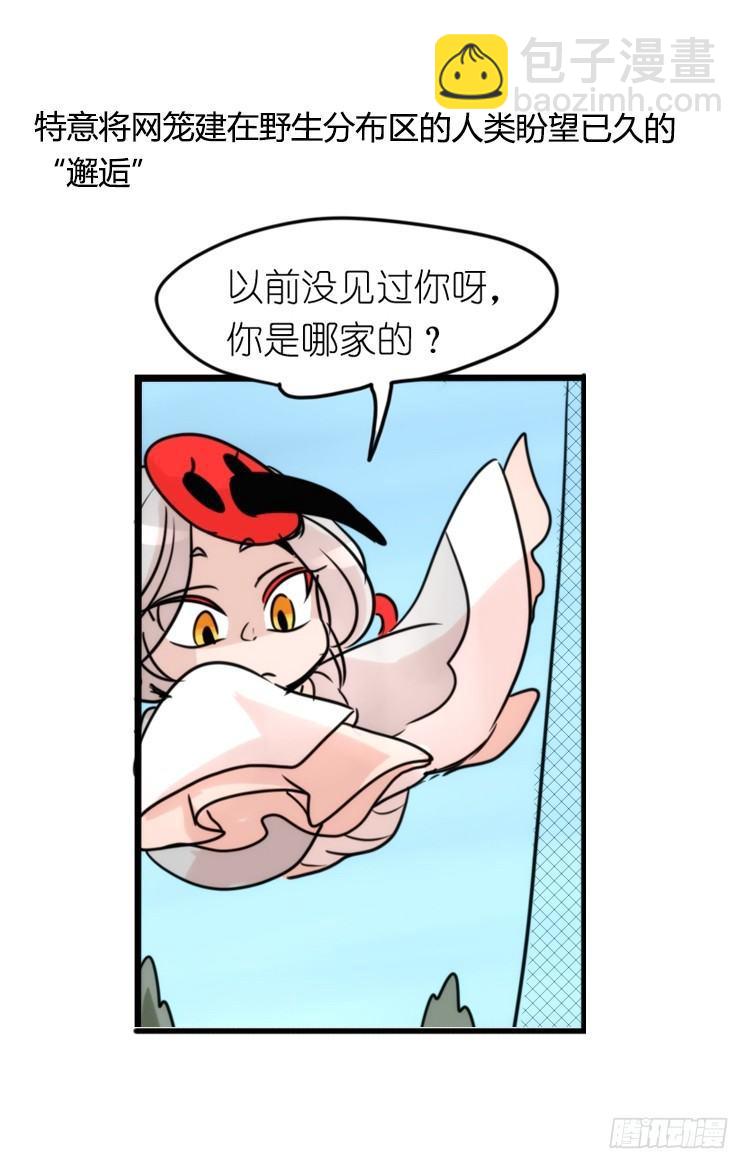 使命篇21：重振绯羽③-第145话