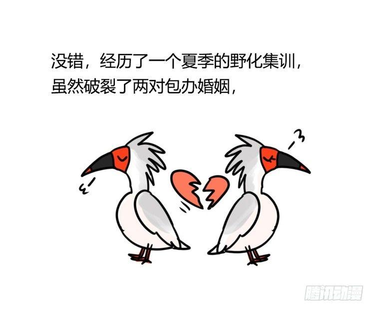 使命篇21：重振绯羽③-第145话