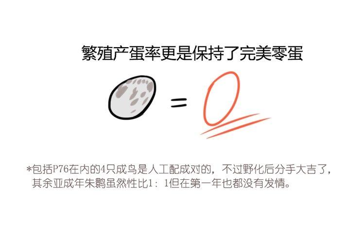 使命篇21：重振绯羽③-第145话