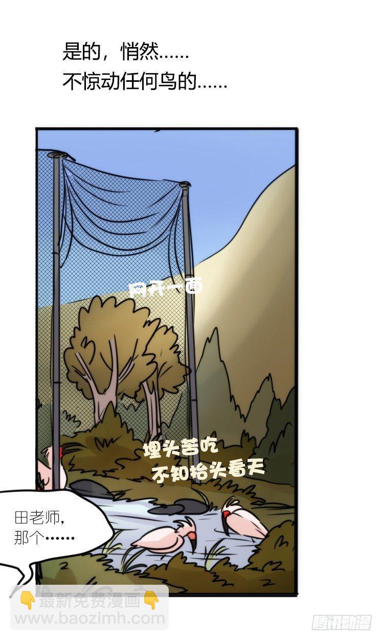 使命篇21：重振绯羽③-第145话