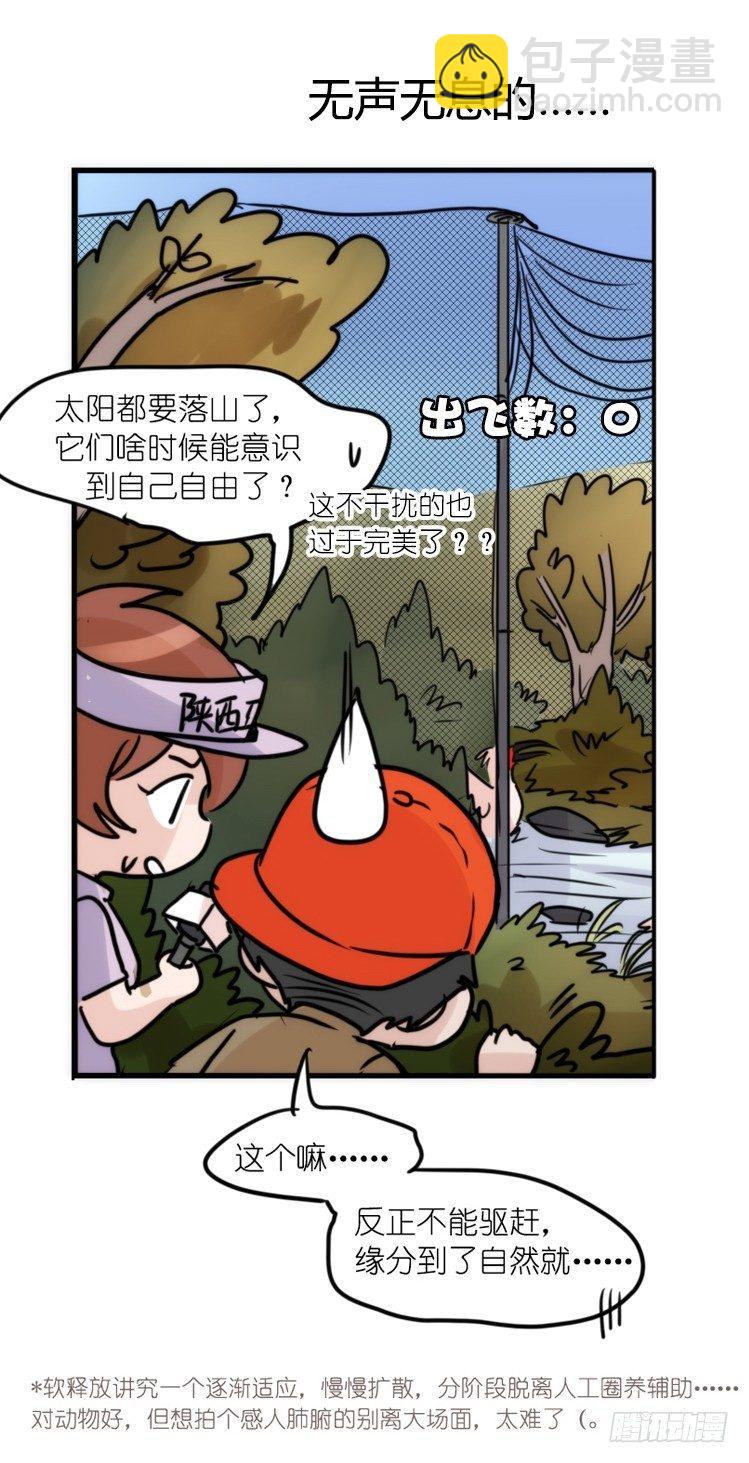 使命篇21：重振绯羽③-第145话