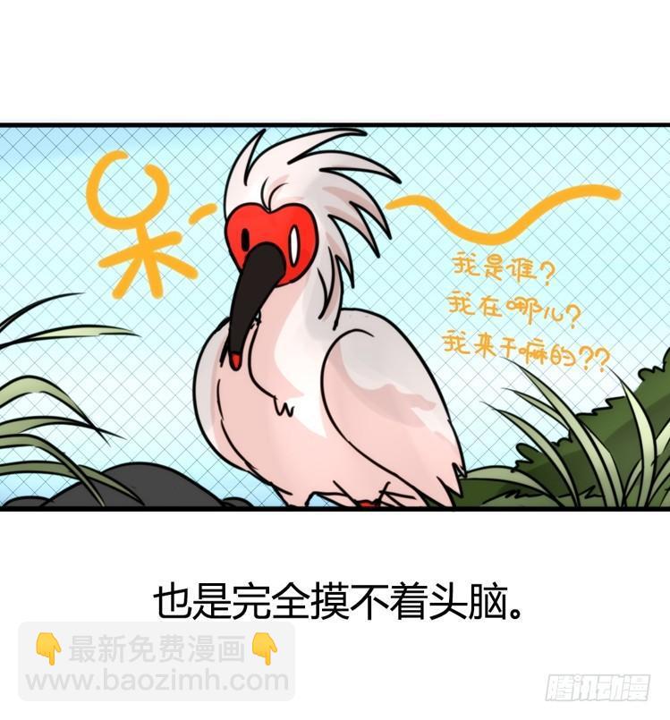 使命篇21：重振绯羽③-第145话