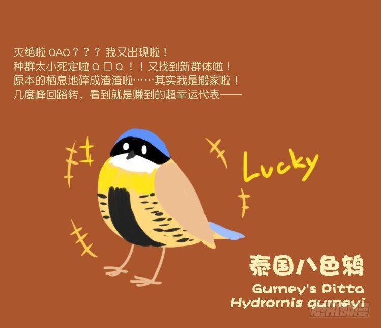使命篇21：重振绯羽③-第145话