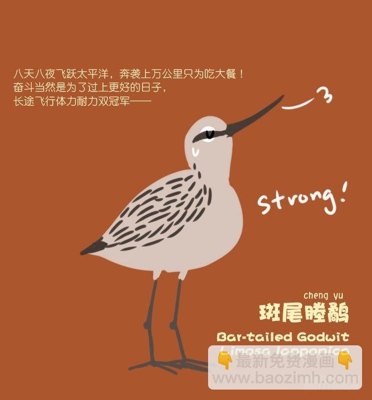 使命篇21：重振绯羽③-第145话