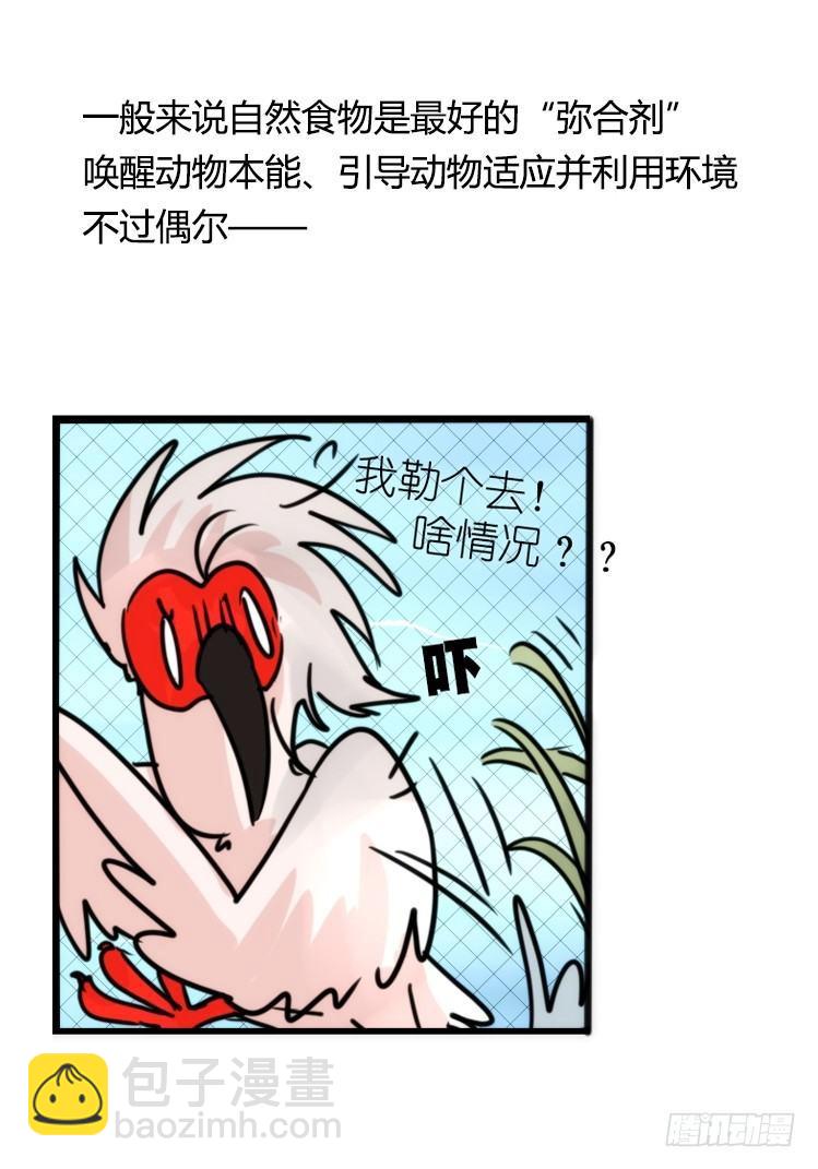 使命篇21：重振绯羽③-第145话