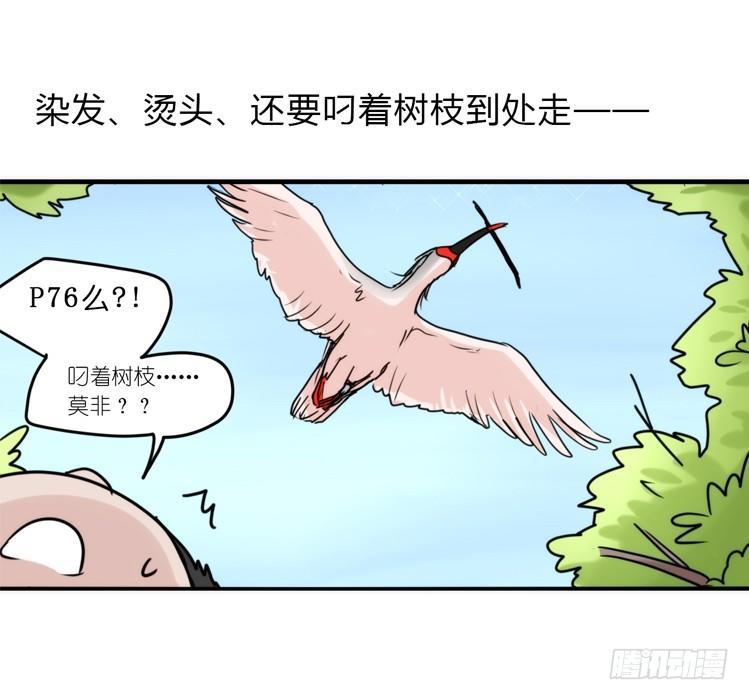 使命篇23：重振绯羽⑤-第147话