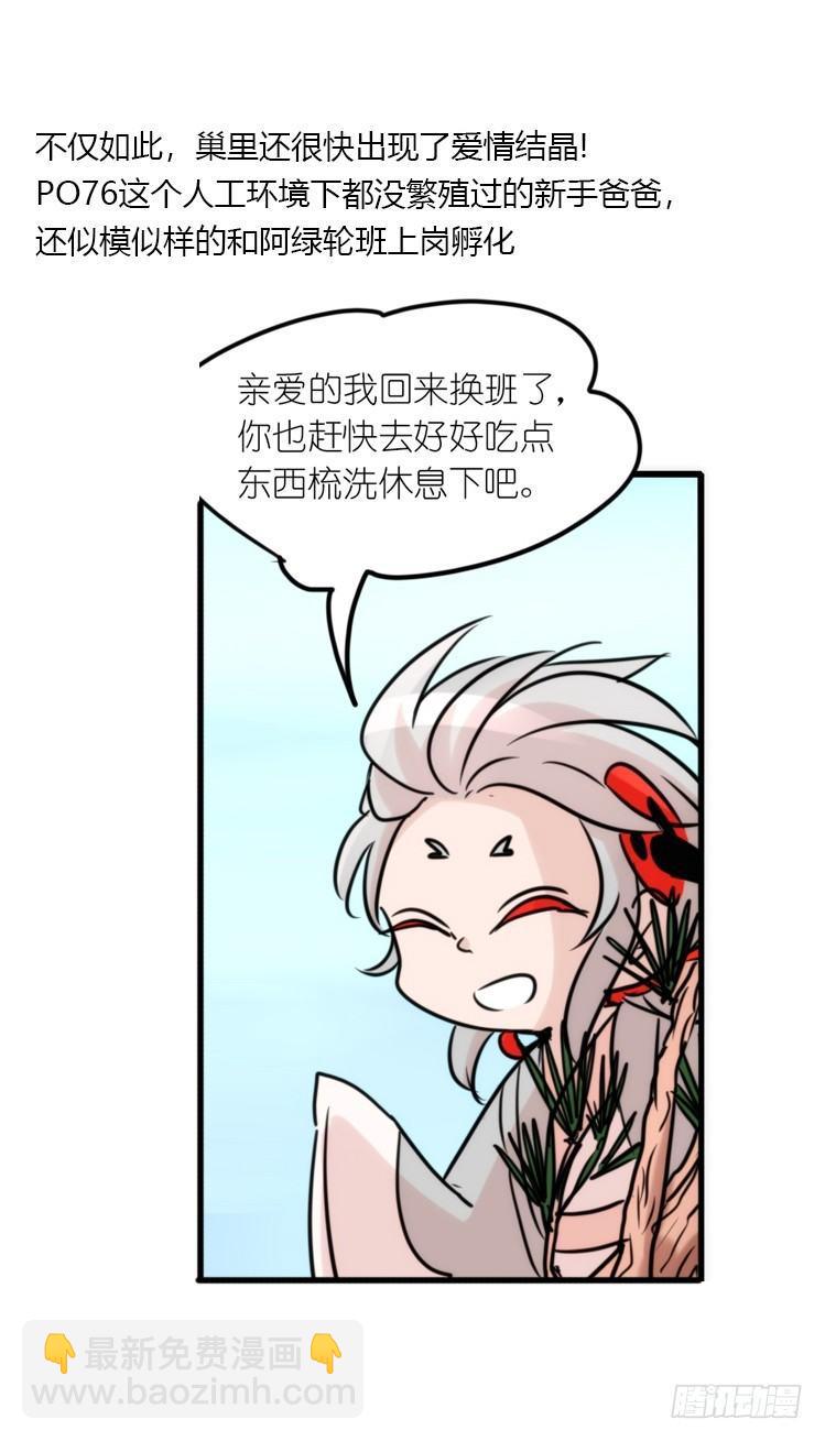 使命篇23：重振绯羽⑤-第147话