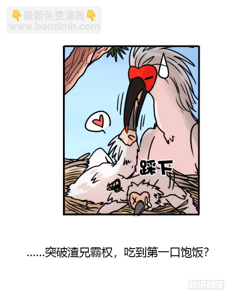 使命篇23：重振绯羽⑤-第147话