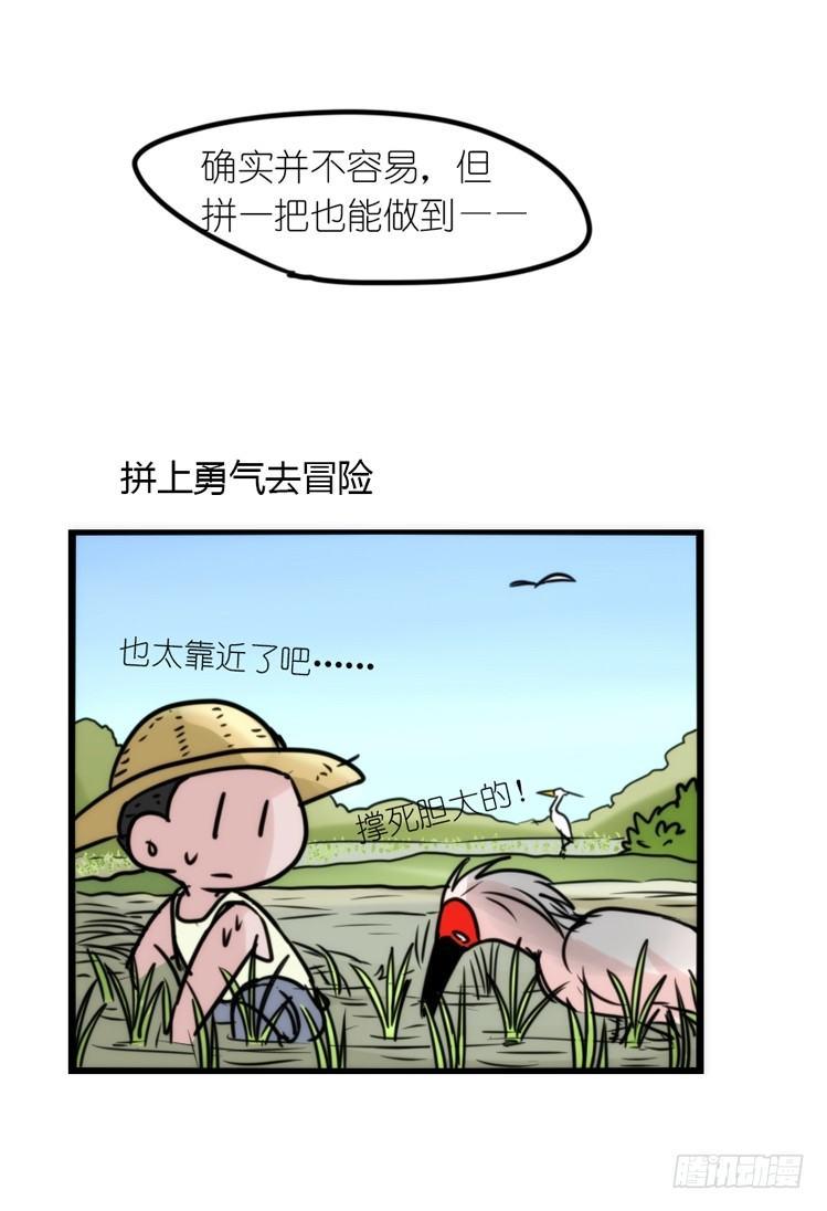 使命篇23：重振绯羽⑤-第147话