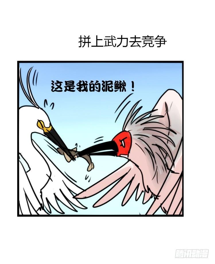 使命篇23：重振绯羽⑤-第147话