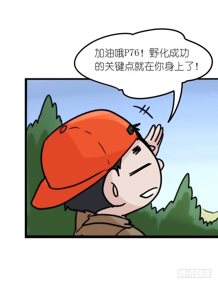 使命篇23：重振绯羽⑤-第147话