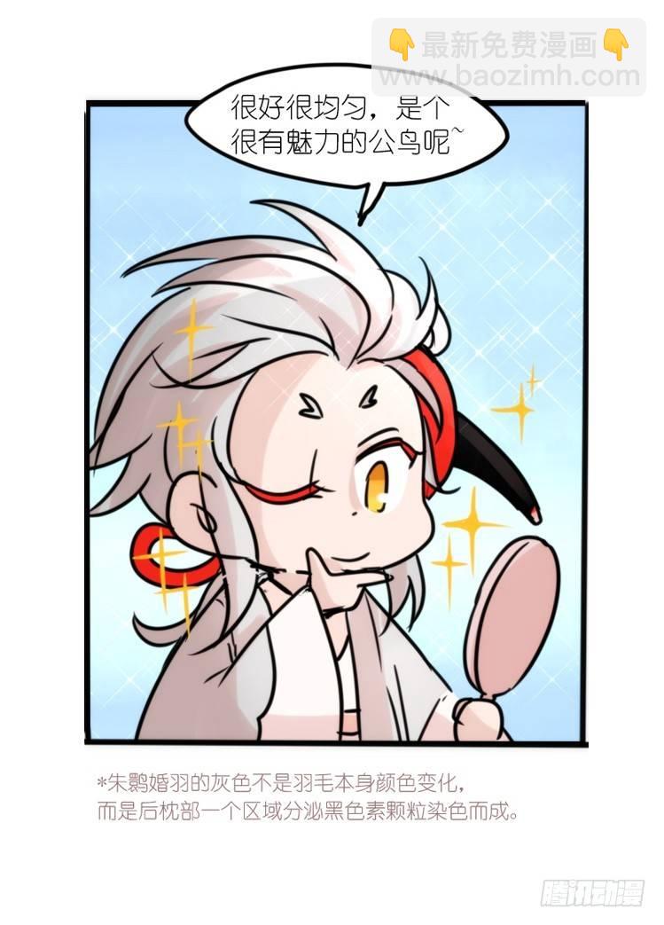 使命篇23：重振绯羽⑤-第147话