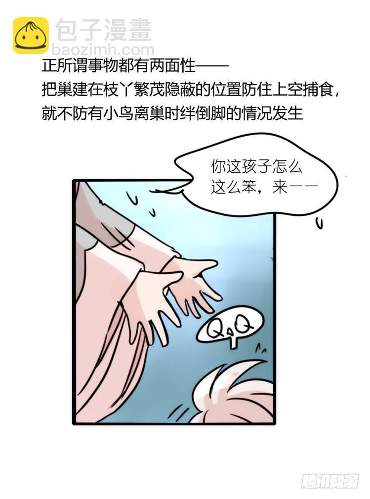 使命篇25：重振绯羽⑦-第149话