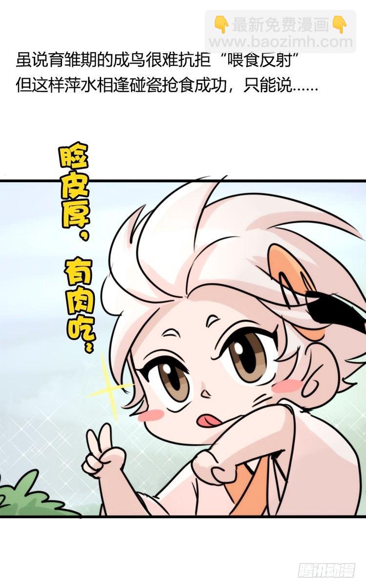 使命篇27-重振绯羽⑨-第151话