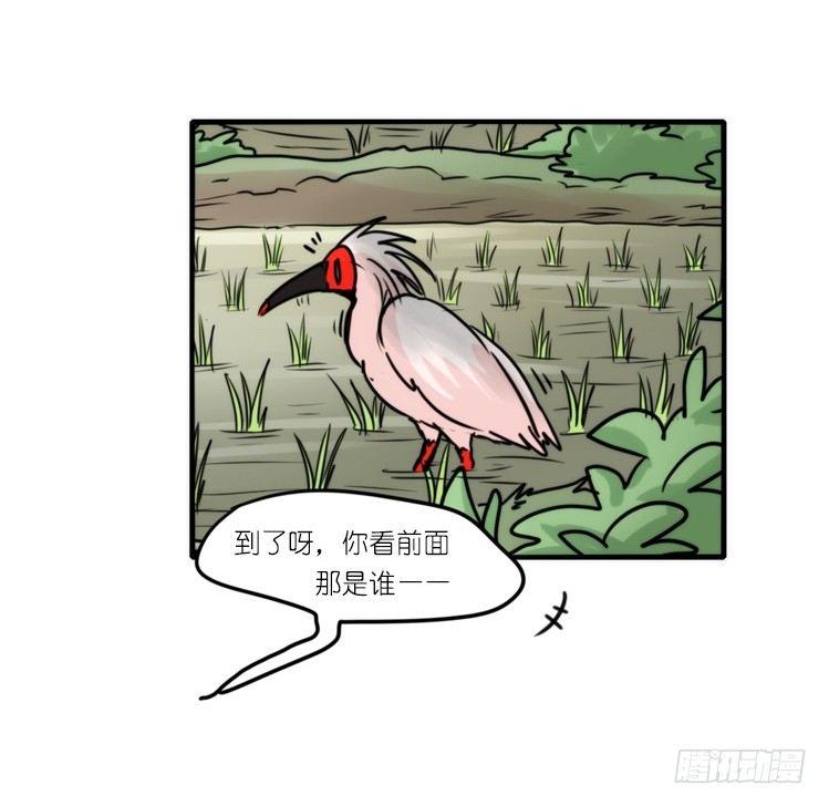 使命篇27-重振绯羽⑨-第151话