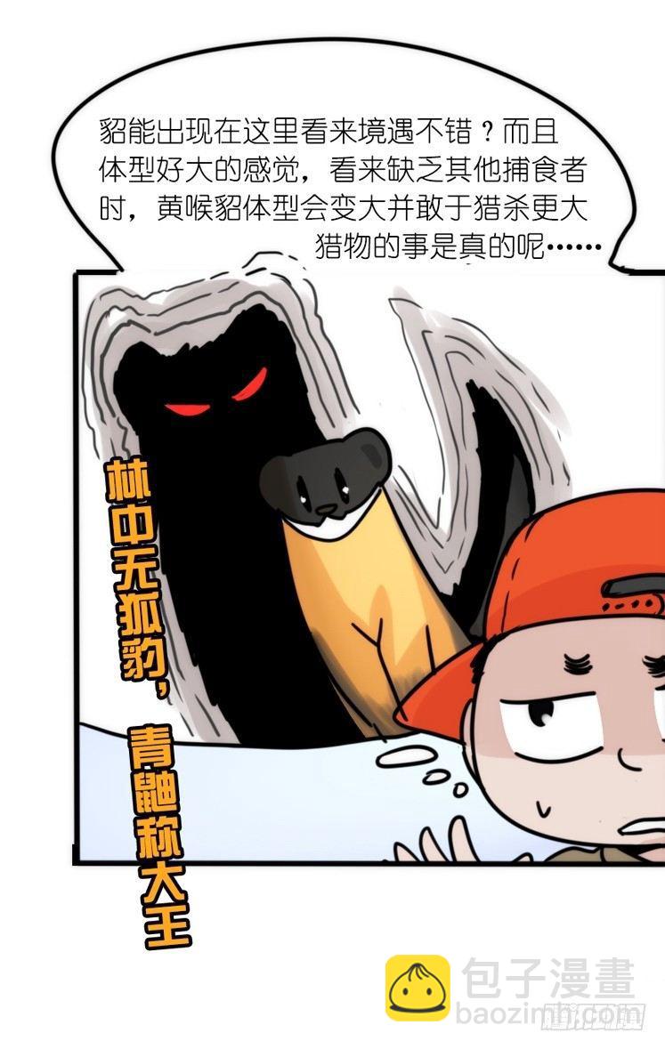 使命篇27-重振绯羽⑨-第151话
