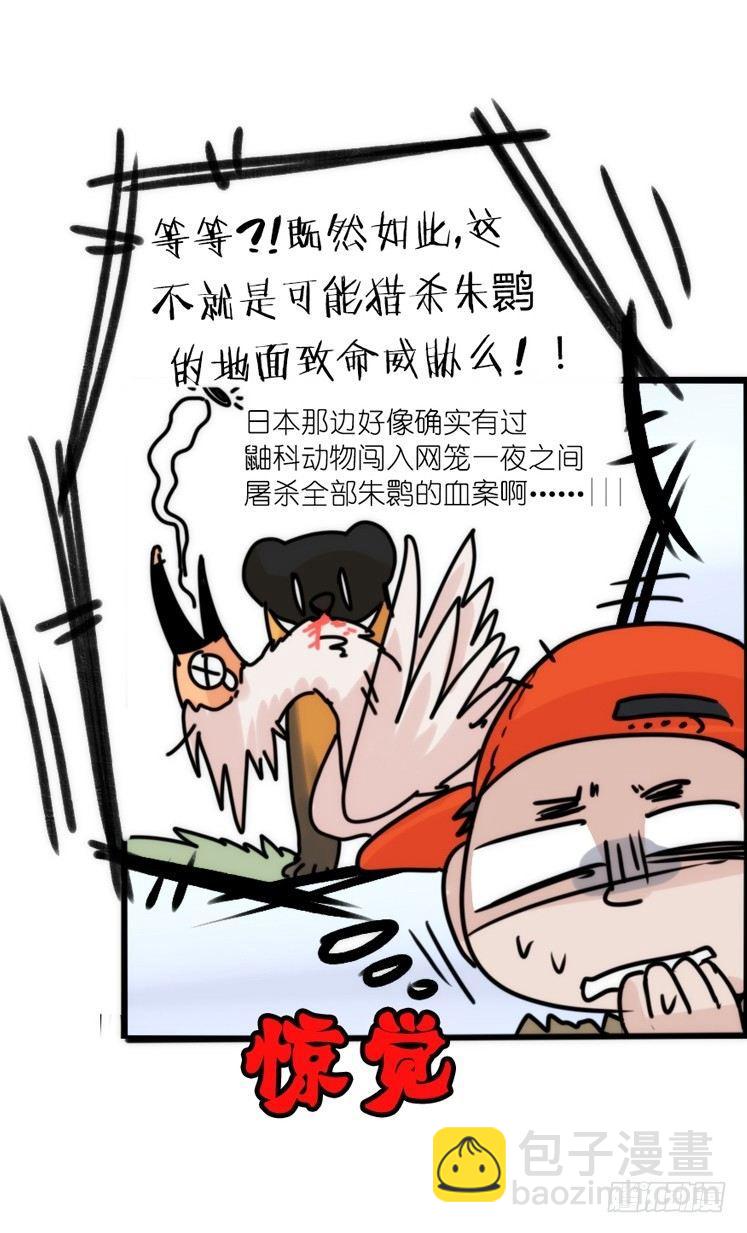 使命篇27-重振绯羽⑨-第151话