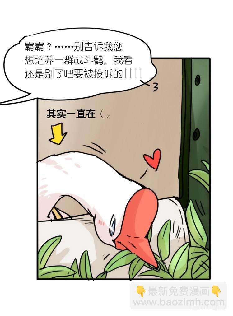 使命篇29：最优解-第153话