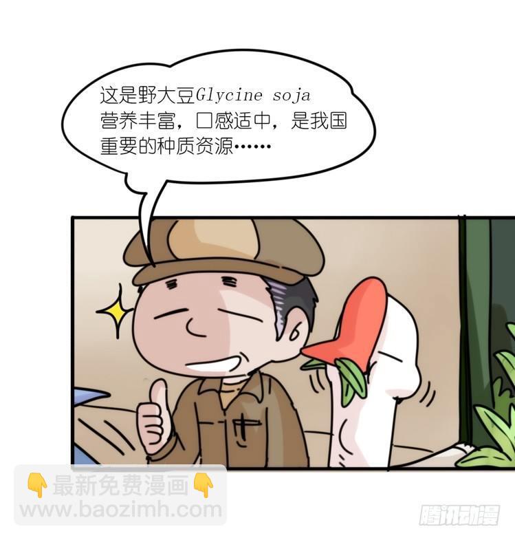 使命篇29：最优解-第153话