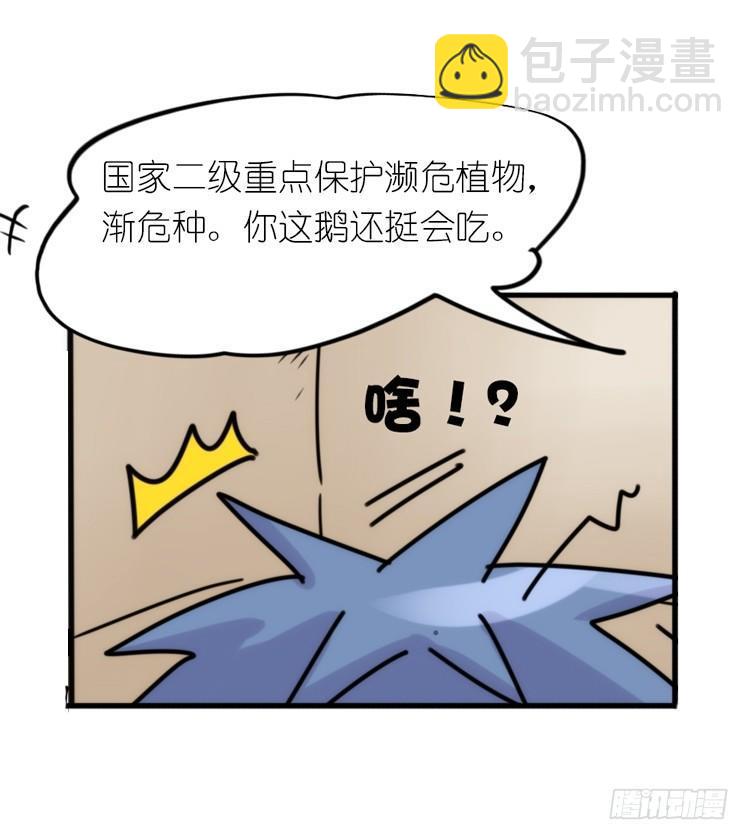 使命篇29：最优解-第153话