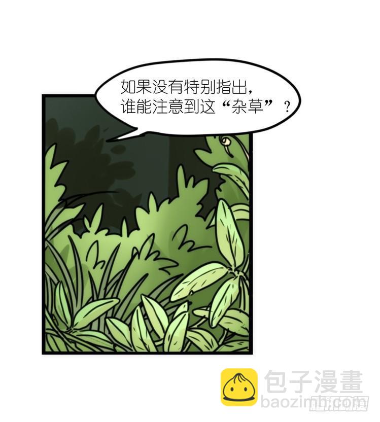 使命篇29：最优解-第153话