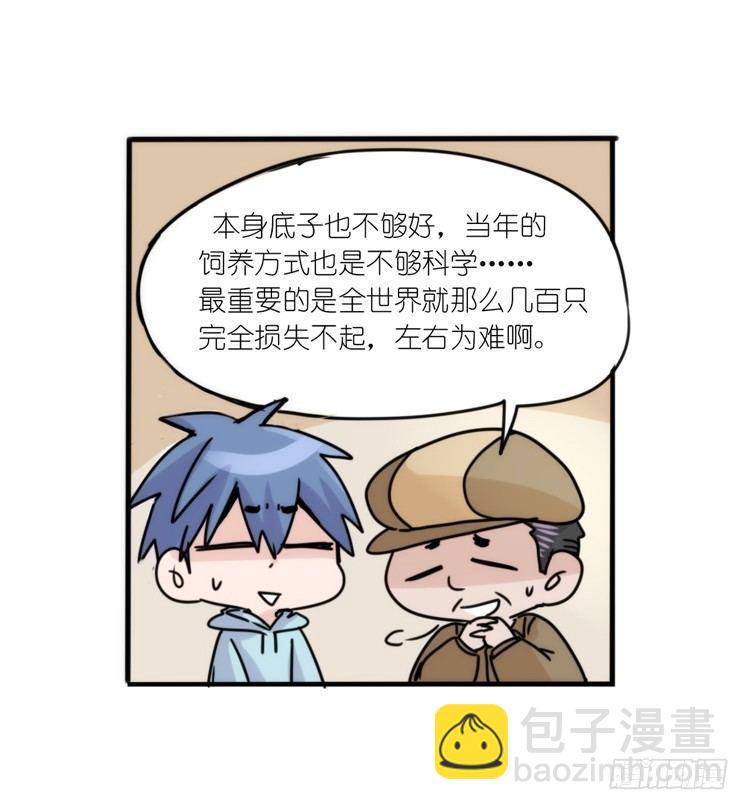 使命篇29：最优解-第153话