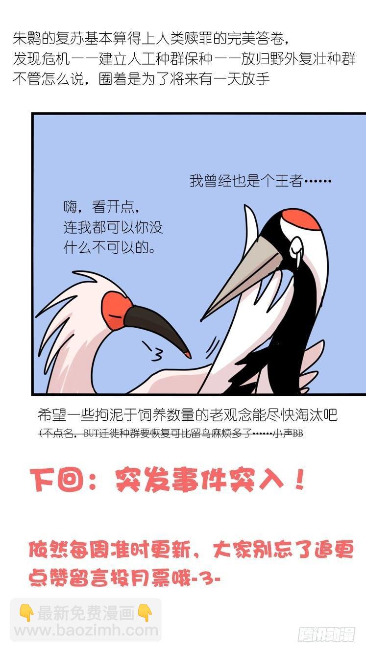 使命篇29：最优解-第153话