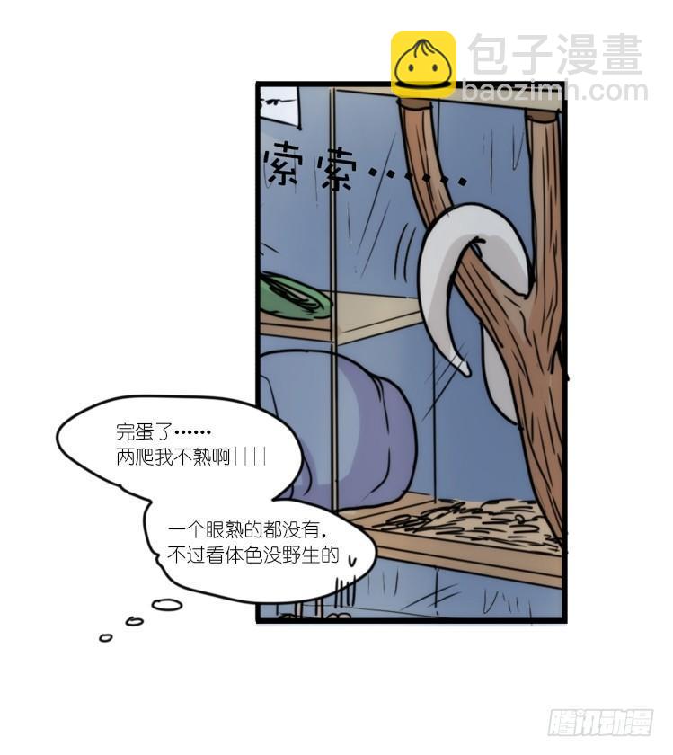 使命篇31：王牌调查员！-第155话