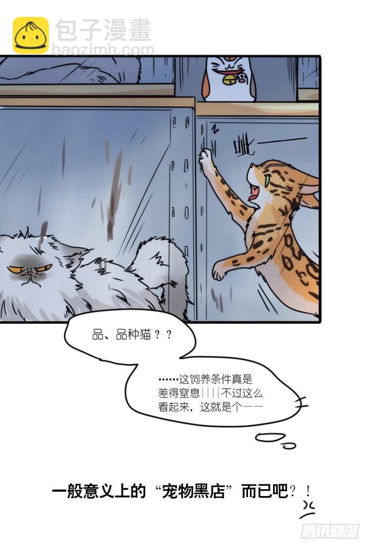 使命篇31：王牌调查员！-第155话
