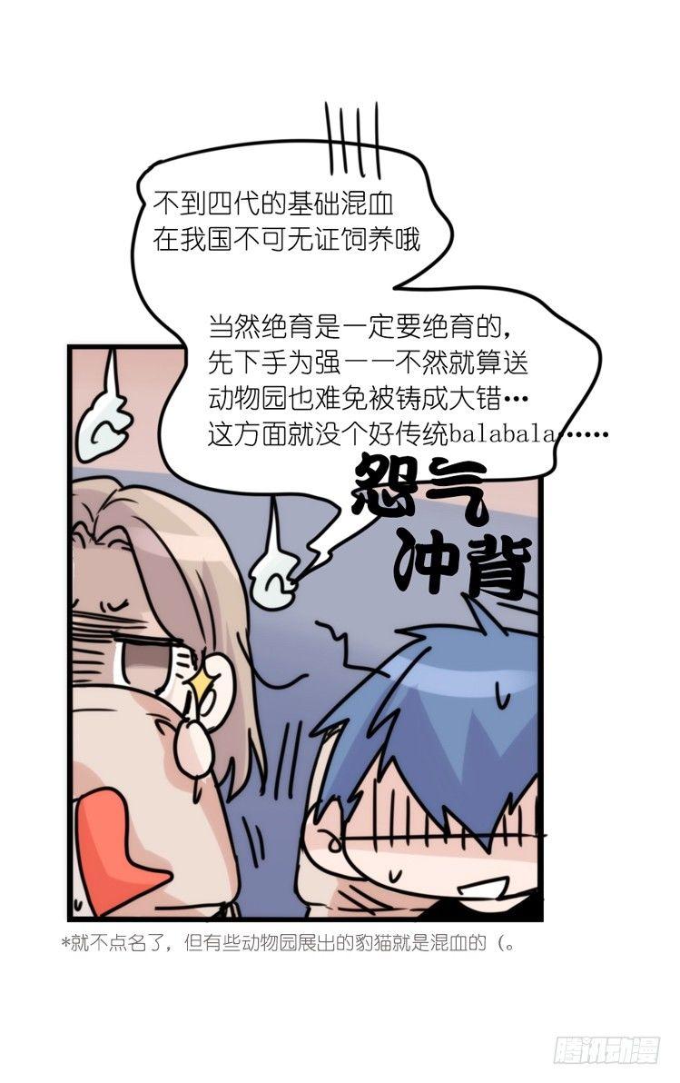 使命篇33：屋漏偏逢连夜雨-第157话