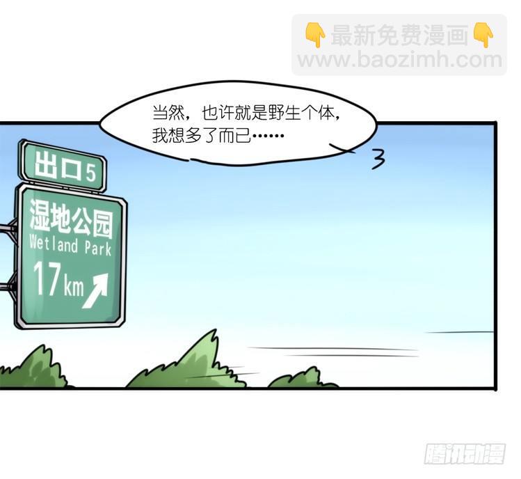 使命篇33：屋漏偏逢连夜雨-第157话
