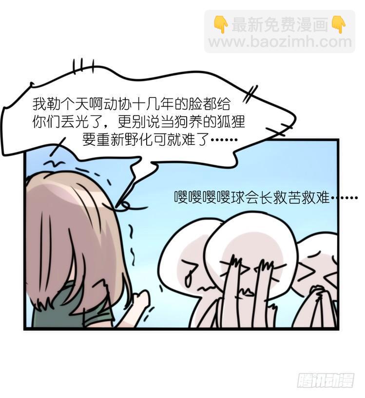 使命篇33：屋漏偏逢连夜雨-第157话