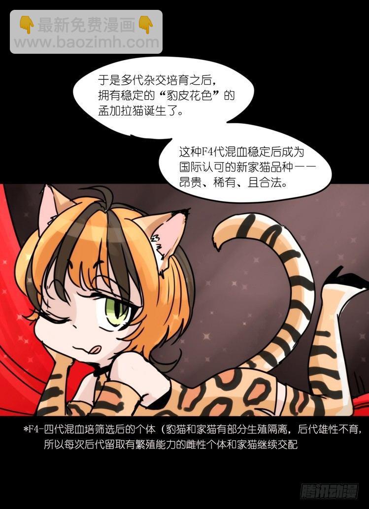 使命篇33：屋漏偏逢连夜雨-第157话
