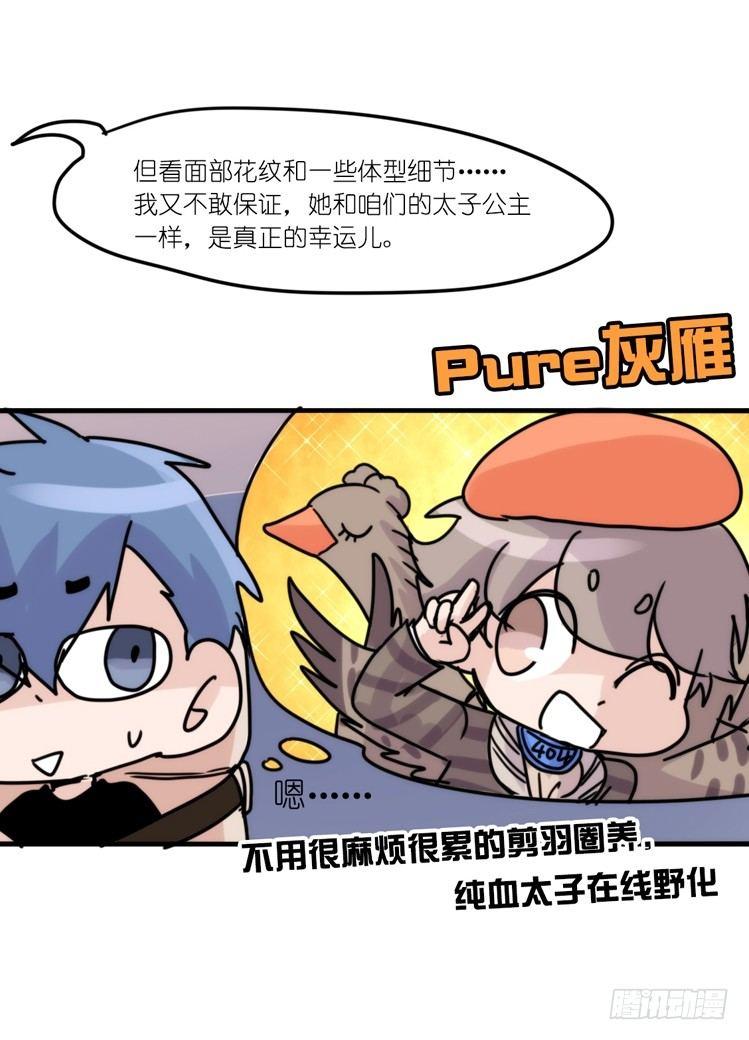使命篇33：屋漏偏逢连夜雨-第157话