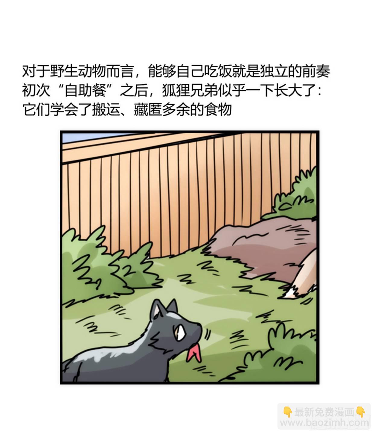 事业篇02：起点低&hellip;&hellip;进步大呀-第159话