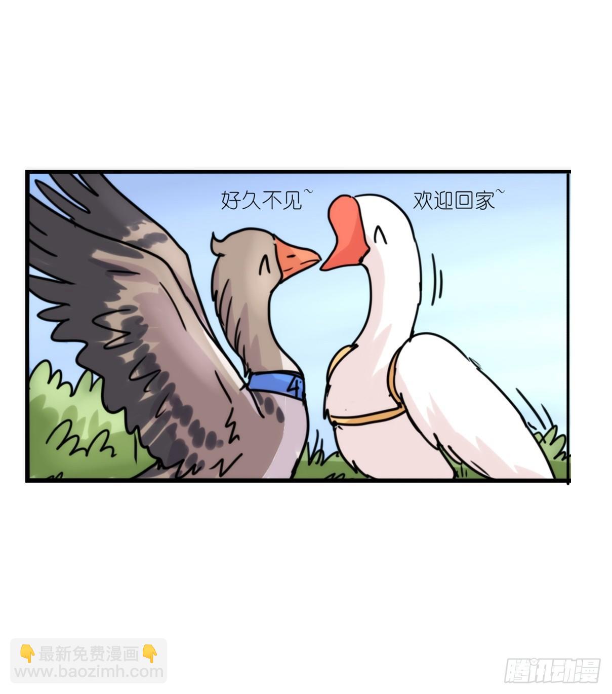 事业篇04：谁来拯救翻车直播-第161话