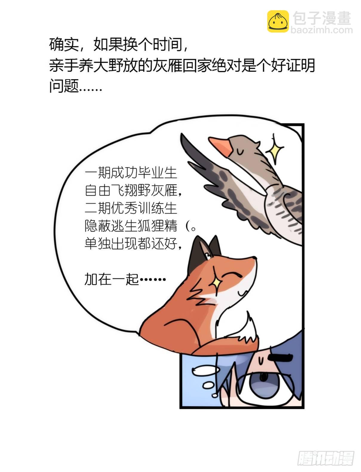 事业篇04：谁来拯救翻车直播-第161话