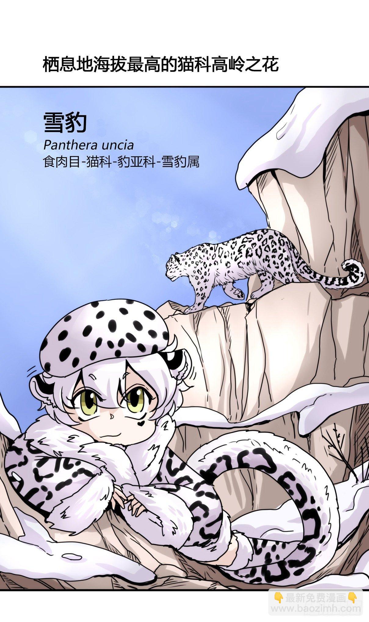 事业篇06：奇幻邂逅-第163话
