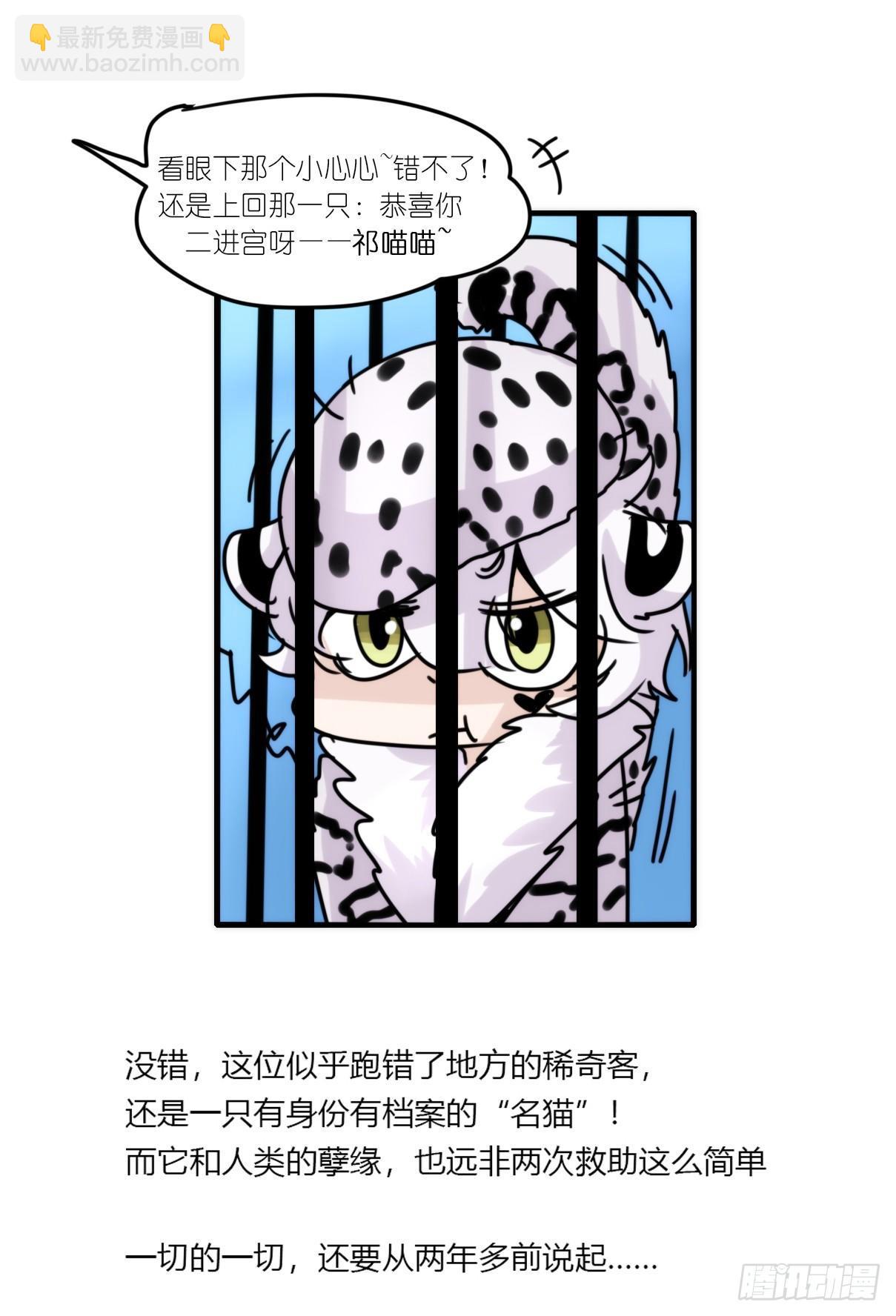 事业篇06：奇幻邂逅-第163话