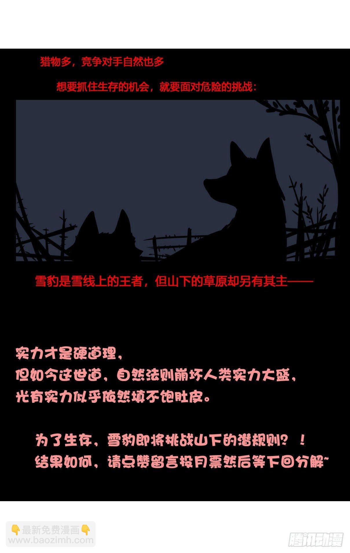 事业篇08：雪豹成为偶像！-2-第165话