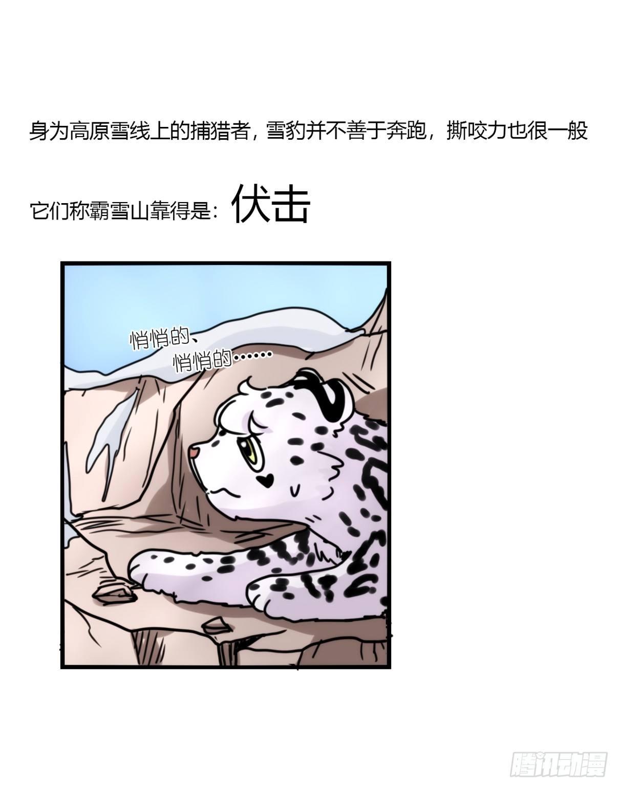 事业篇08：雪豹成为偶像！-2-第165话