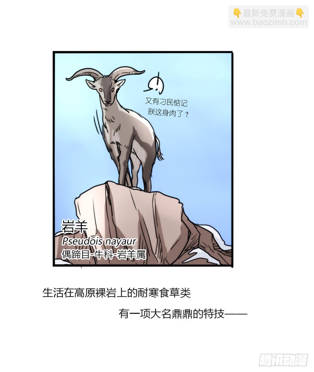 事业篇08：雪豹成为偶像！-2-第165话